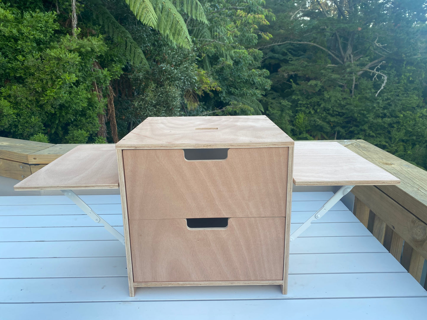 *Prototype* Single Burner Unit